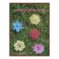 Variationen in Blüte ~ Christine Mirecki - Klöppelwerkstatt, 35 Blütenfantasien, gedacht als Schmuckelemente zur vielfältigen Anwendung, klöppeln