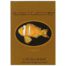 Spitzenwasserwelt ~ Sabine Frank-Hart - Klöppelwerkstatt, Ein Heft für Liebhaber von bunten Farben und Fischen, Seesterne und Seeigel. klöppeln