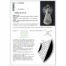 Klöppelbrief Engelchen 2320 - Marie- Luise Prinzhorn, in der Klöppelwerkstatt, klöppeln, Weihnachten, Sterne, Torchon, Dekoration